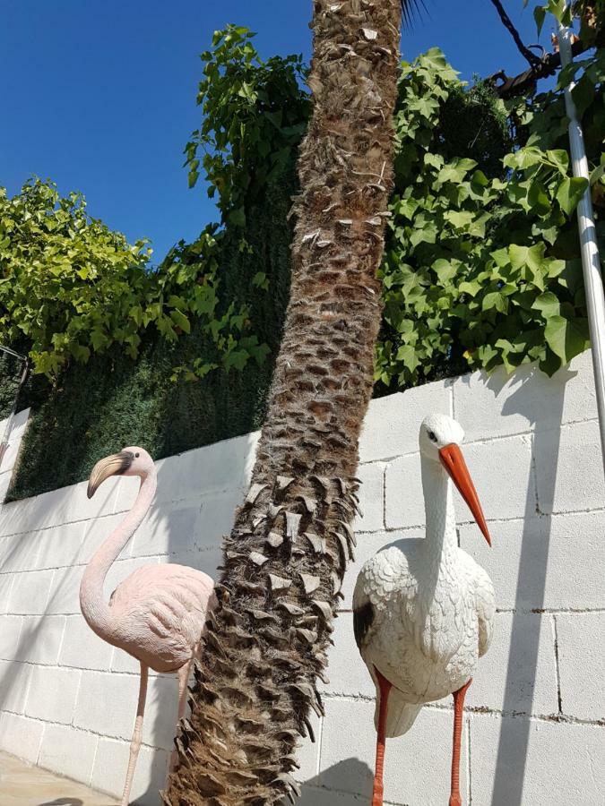 טראגונה Villa Porta Caeli מראה חיצוני תמונה